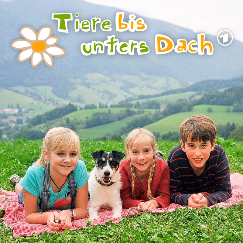 Der Wolf kommt