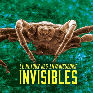 Le retour des envahisseurs invisibles - Episode 1