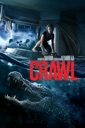 Affiche du film Crawl