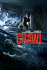 Alexandre Aja - Crawl  artwork