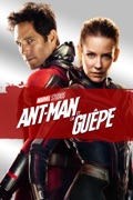 Ant-Man et La Guêpe