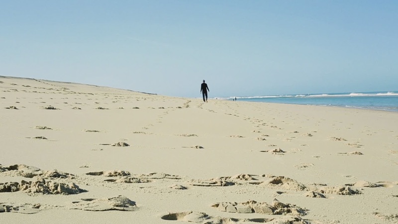 Vie Varda