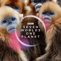Seven Worlds, One Planet