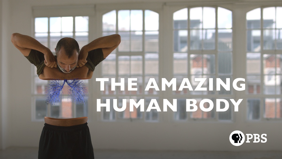 ‎The Amazing Human Body - Apple TV
