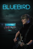 Bluebird - Brian A. Loschiavo