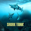 Shark Tank - Shark Tank, Season 11  artwork