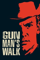 Gunman's Walk