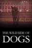 The Wild Side of Dogs - Daniel Meyers