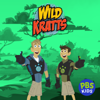 Speaking Dolphinese - Wild Kratts Cover Art