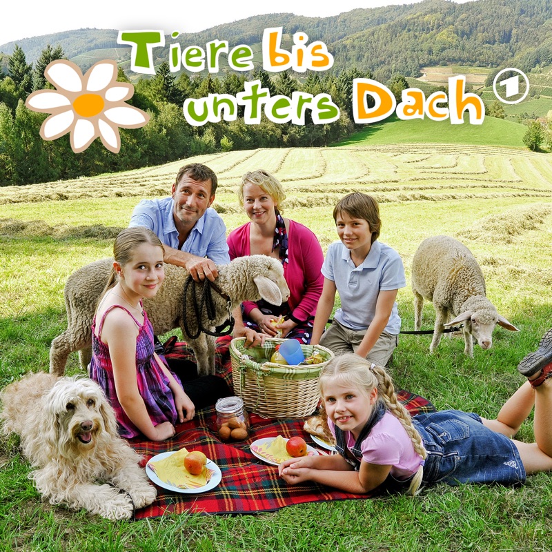 Hundeherz