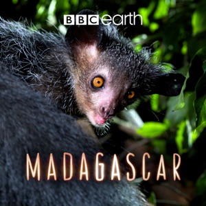 Madagascar (VF) - Episode 1