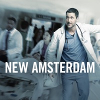 New Amsterdam, Saison 1 (VOST)