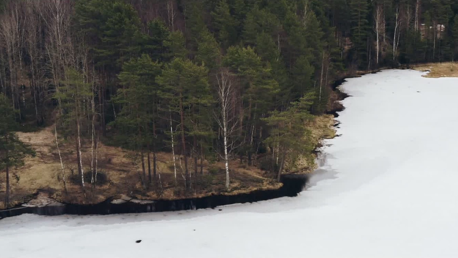 Дети севера by Just For You Project