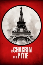Le chagrin et la pitié