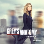 Grey's Anatomy, Season 16 (subtitled)