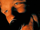 Fuel - Metallica