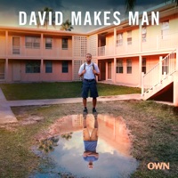 David Makes Man, Season 1