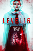 Level 16