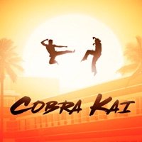 Télécharger Cobra Kai, Season 1 Episode 8