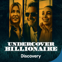 Three Million Dollar Bet - Undercover Billionaire Cover Art