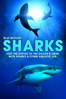 Sharks: Visit the Depths of the Ocean & Swim with Sharks & Other Aquatic Life - Johannes Kernmeyer