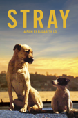 Stray (2021)