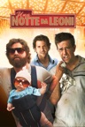 Una notte da leoni