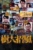 樹大招風
