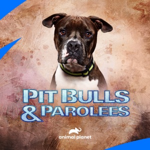 Pit Bulls and Parolees, Season 16 - Episode 1