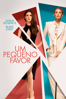 Um pequeno favor - Paul Feig