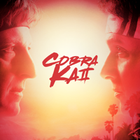 Cobra Kai - Cobra Kai, Staffel 2 artwork