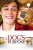 A Dog's Purpose - Lasse Hallström