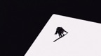 The Wolf