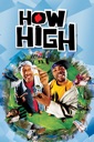 Affiche du film Etudiants en herbe! (How High)