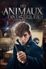 Iam Les animaux fantastiques Wizarding World 11-Film Collection