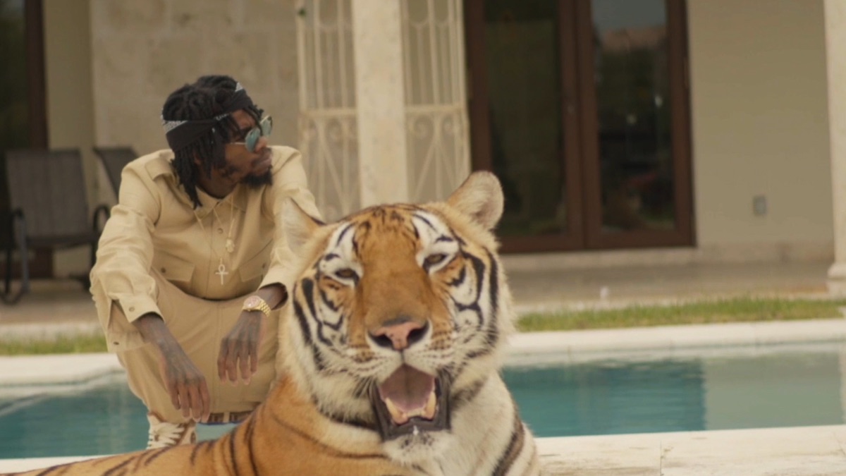 Nah Fi Like - Alkaline