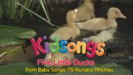 Five Little Ducks from Kidsongs: Baby Songs-75 Nursery Rhymes - Kidsongs