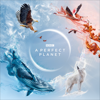 A Perfect Planet - A Perfect Planet Cover Art