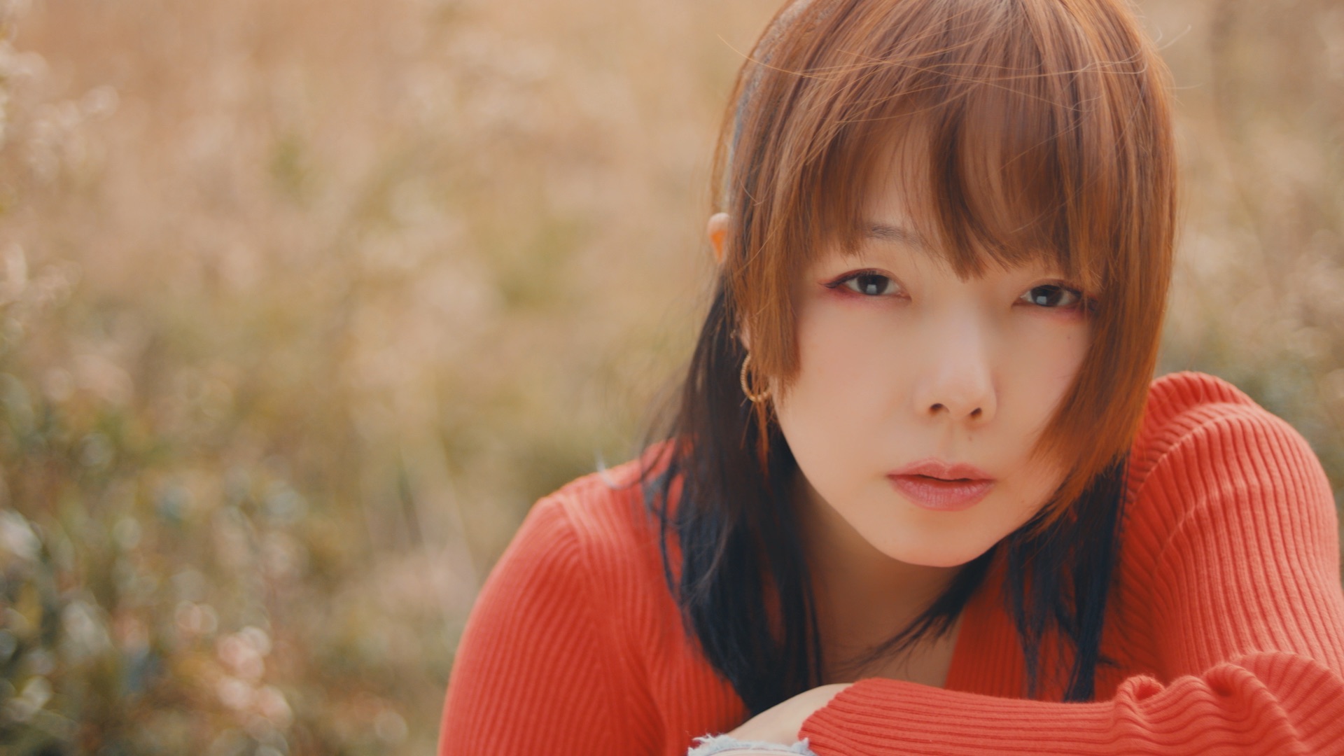 Aozora - Music Video by aiko - Apple Music
