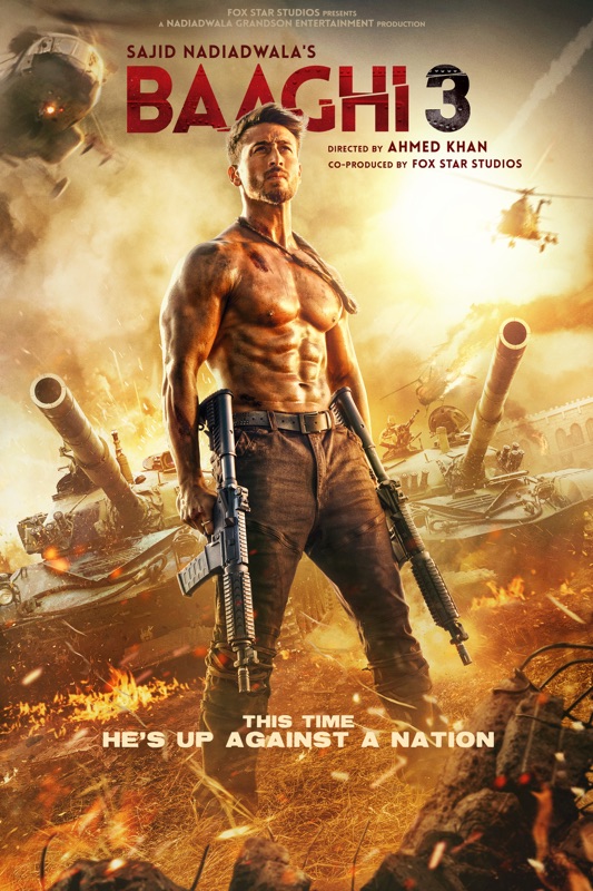 Baaghi 3