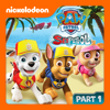 Sea Patrol: Pups Save a Shark / Sea Patrol: Pups Save the Pier - PAW Patrol