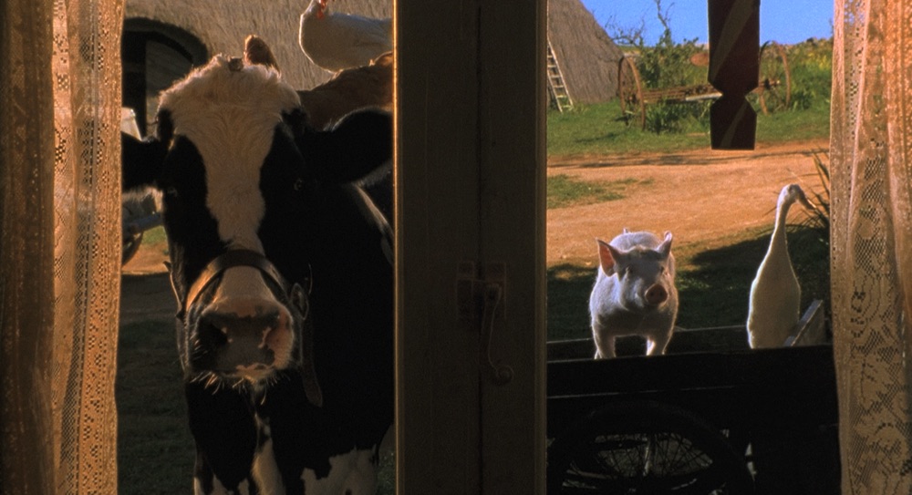 Babe Le Cochon Devenu Berger Distribution Babe, le cochon devenu berger sur Apple TV