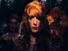 Florence + the Machine