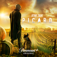 Remembrance - Star Trek: Picard Cover Art