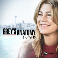 Grey's Anatomy - Grey's Anatomy, Staffel 15 artwork