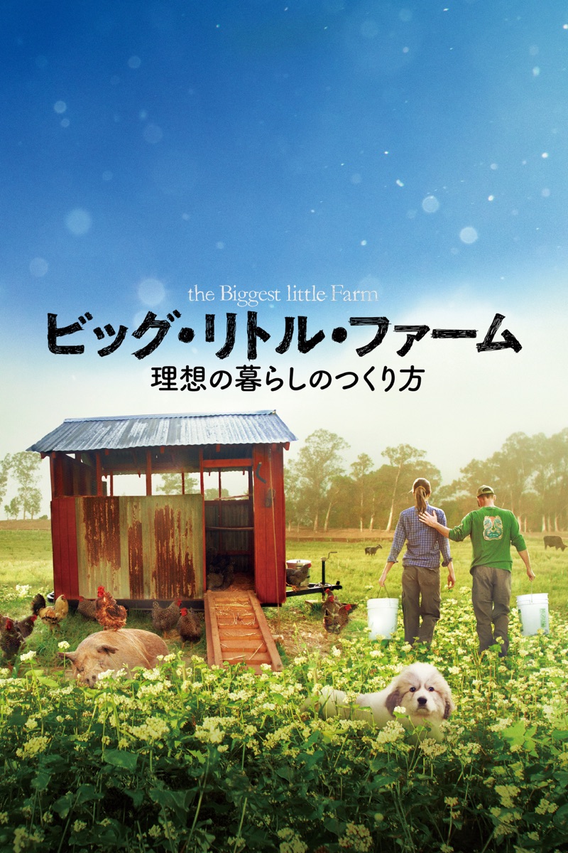 ドキュメンタリー Movie Rankings ドキュメンタリー Movie Rankings