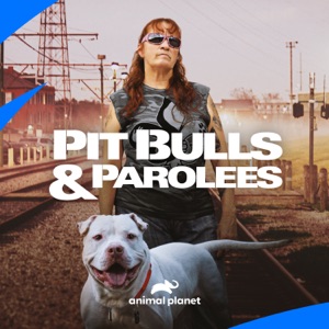 Pit Bulls and Parolees, Season 17 - Episode 5