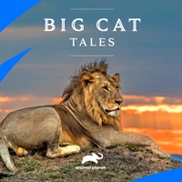 Big Cat Tales, Season 2