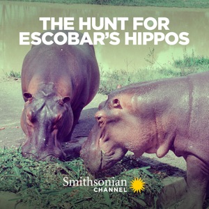 The Hunt for Escobar's Hippos - Episode 1