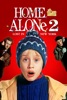 Home Alone 2: Lost In New York App Icon